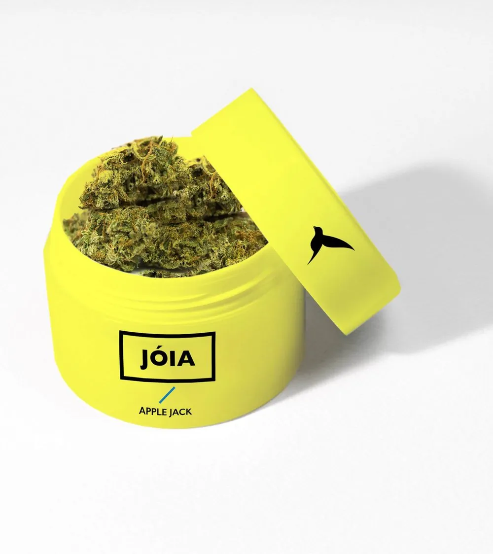 Open yellow Jóia jar filled with cured flower, labeled Apple Jack